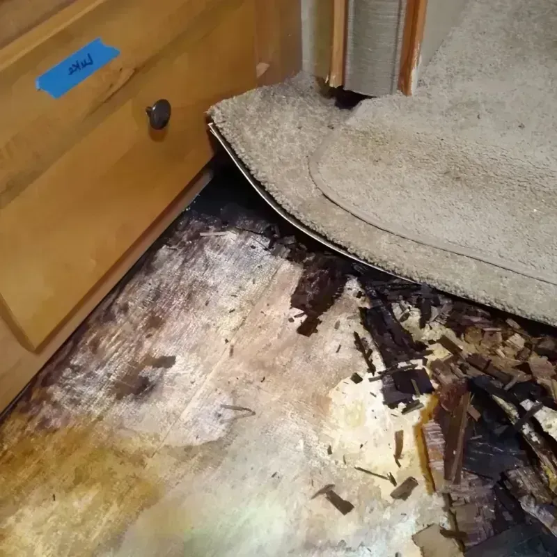 Wood Floor Water Damage in Kechi, KS